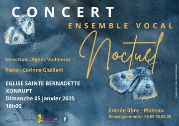 Ensemble vocal Noctuel